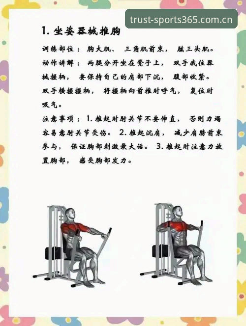 完美体育365移动设备使用详解：从下载到日常体验的完整指南